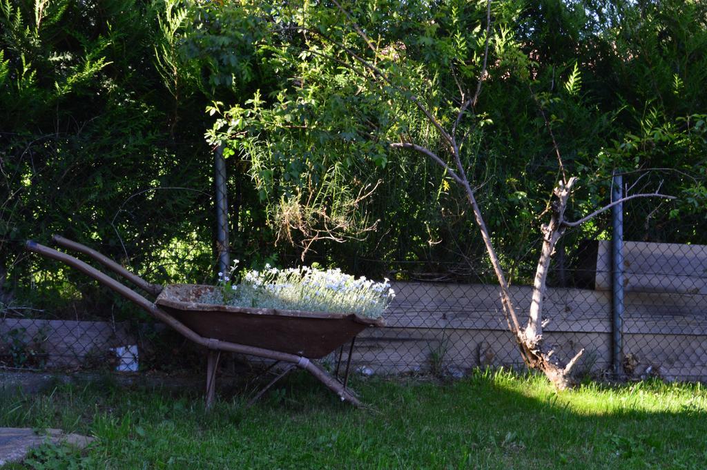 Hostal L'Escon Llanars Zewnętrze zdjęcie